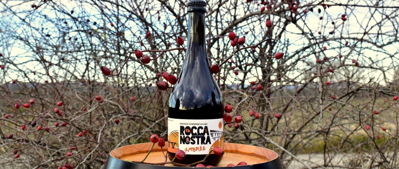 Bière Pale Ale Rocca Nostra 33cL